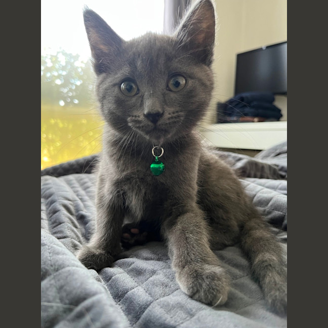 Photo of Jiji