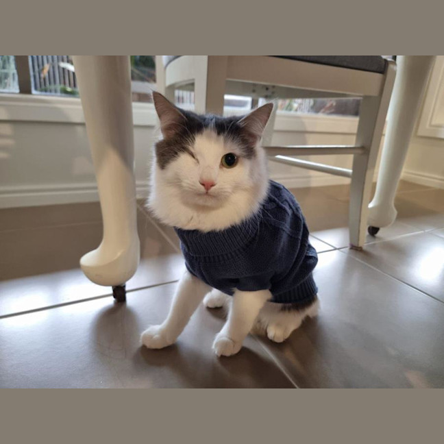 Photo of Pablo Moriarty