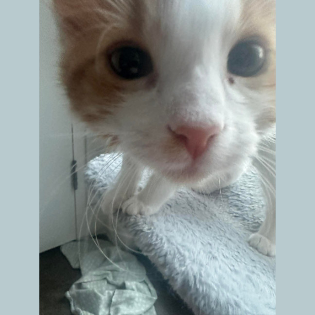Photo of Jean