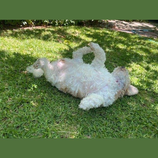 Photo of Bella Wensleydale