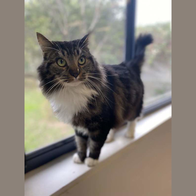 Photo of Mister