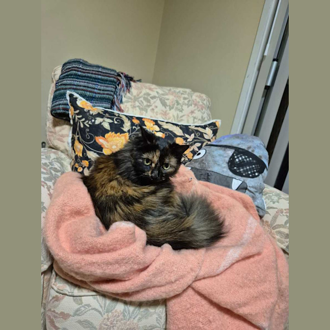 Photo of Jinx