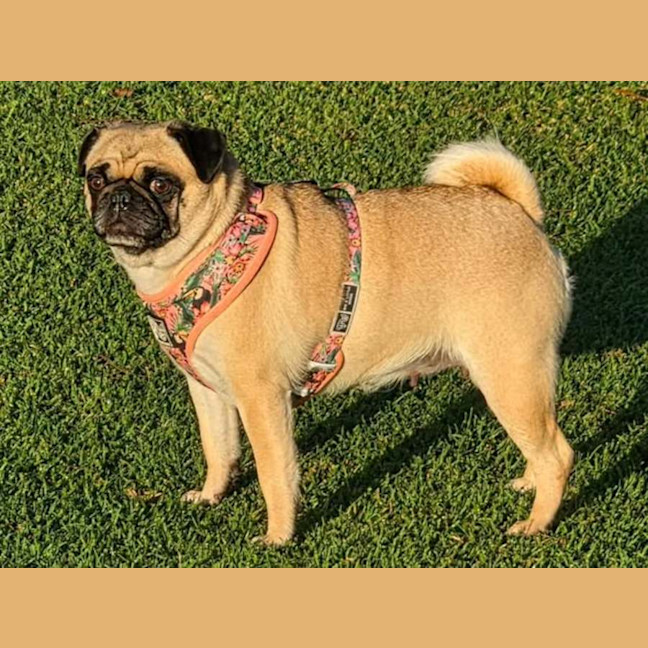 Photo of Miss Daisy