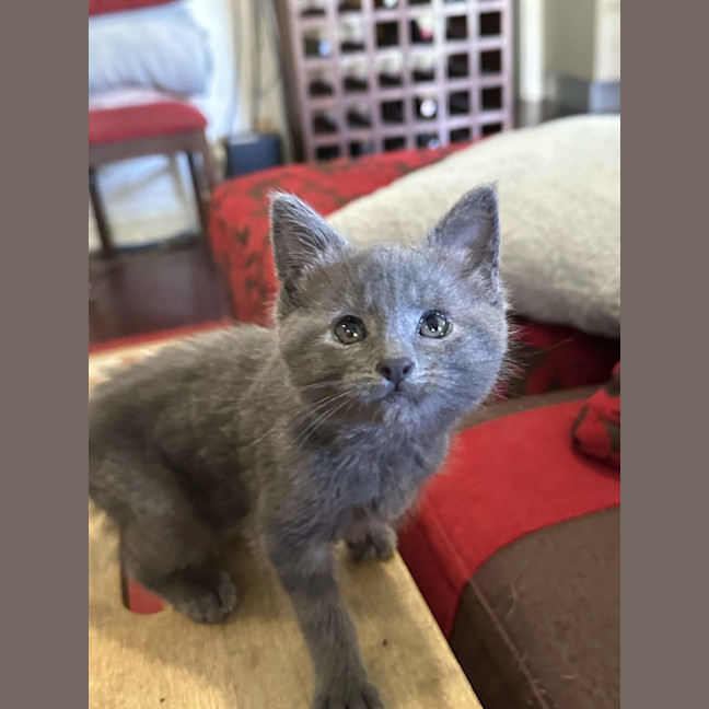 Photo of Cleo