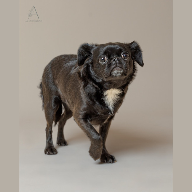 Photo of Judylicious
