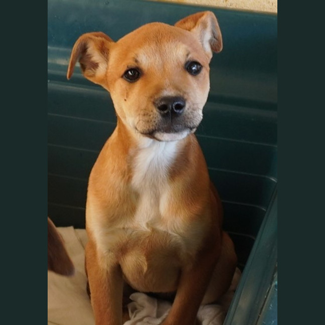 Photo of Ginger And Rodger