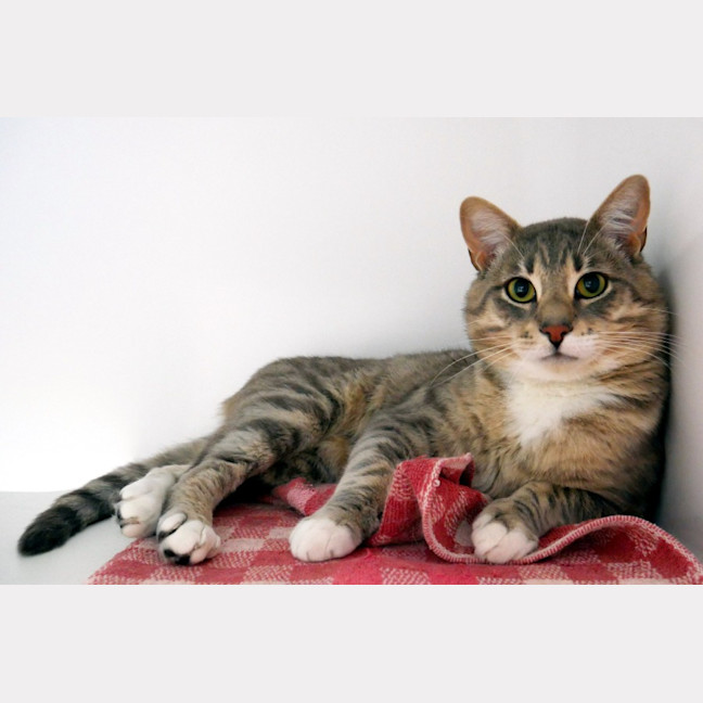 Photo of Errol Sta013184