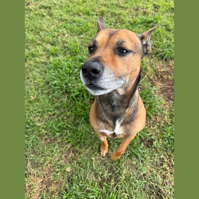 Photo of Scooby 