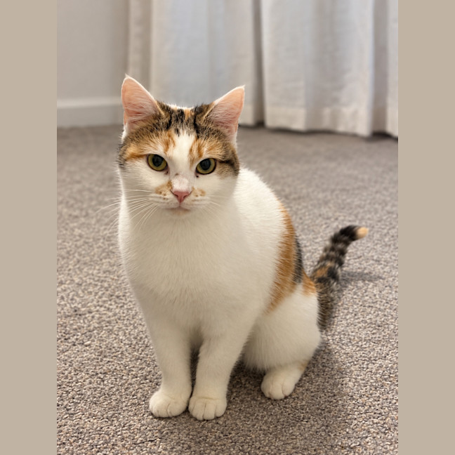 Photo of Candy