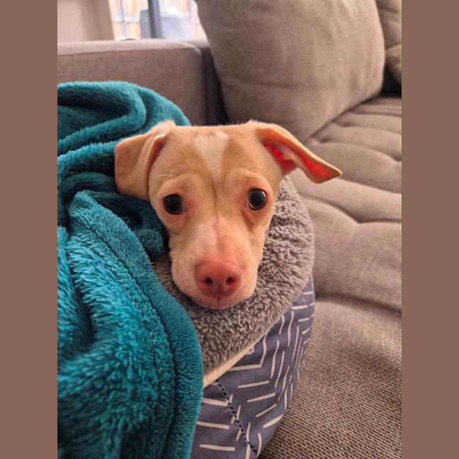 Photo of Doug