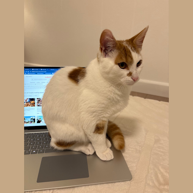 Photo of Taco