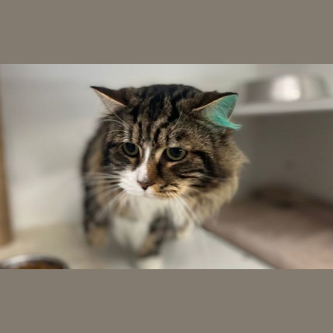 Photo of Charlie
