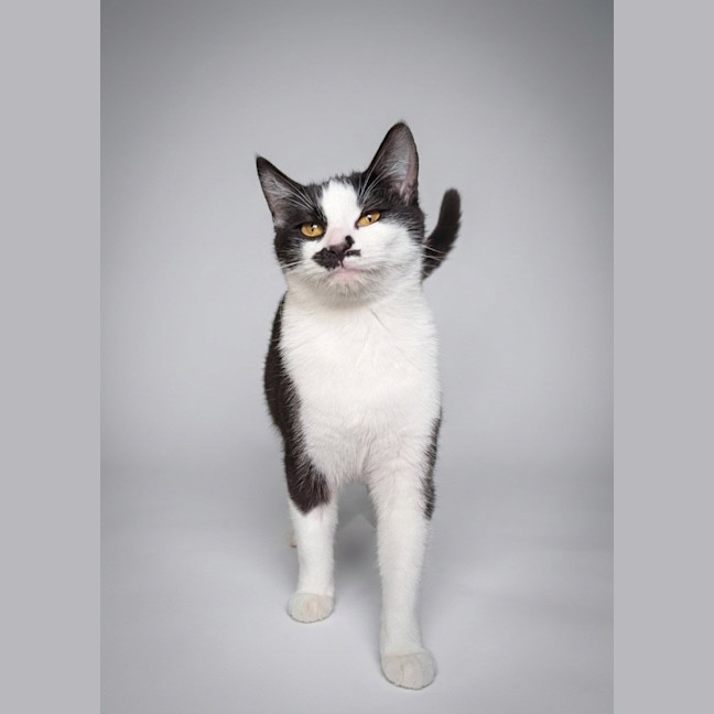 Photo of Fiona