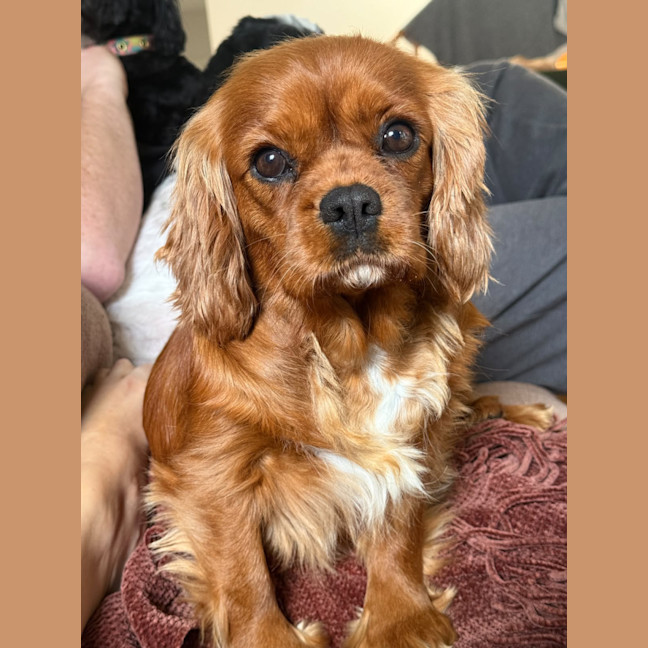 Photo of Jilly