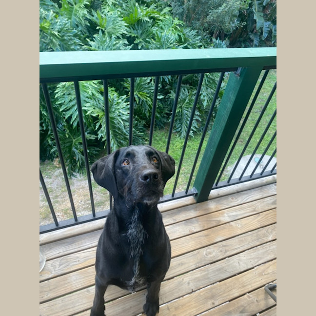 Photo of Jett