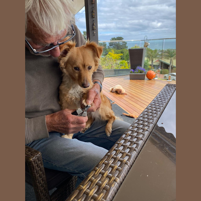 Photo of Rusty
