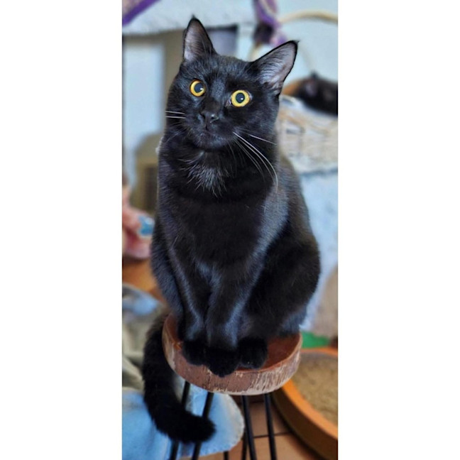 Photo of 11592   Lbk