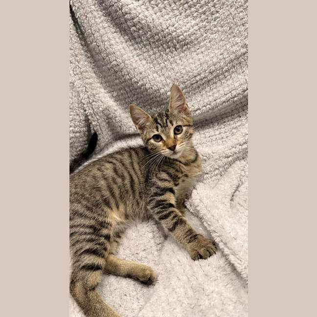 Photo of Mabel