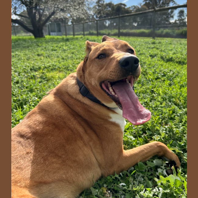 Photo of Duke