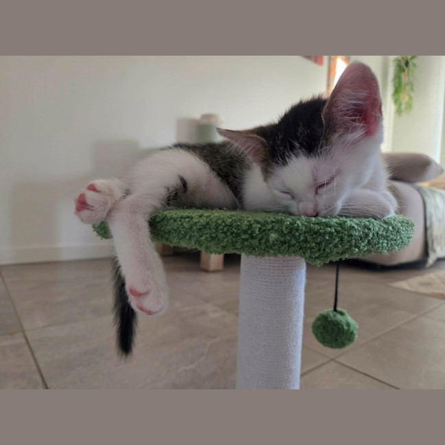 Photo of Chika