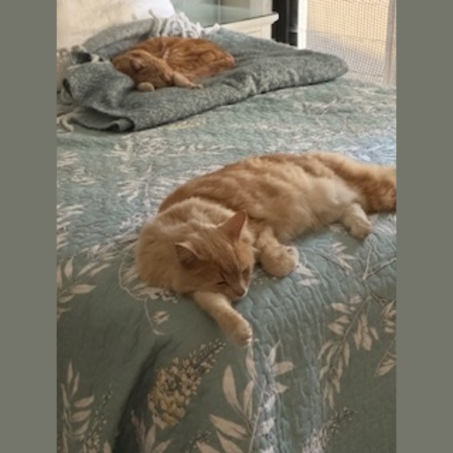 Photo of Eddie & Beryl