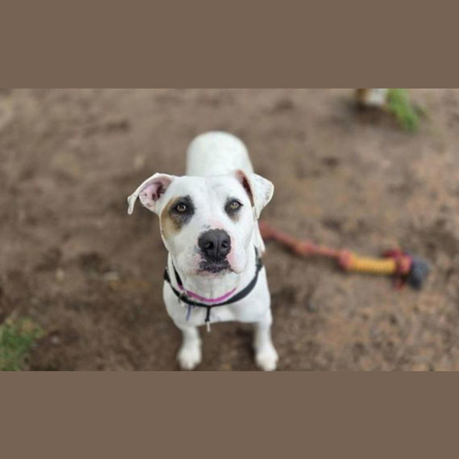 Photo of Maggie
