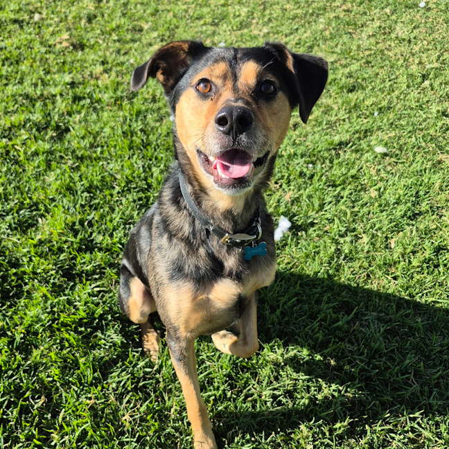 Photo of Ernie