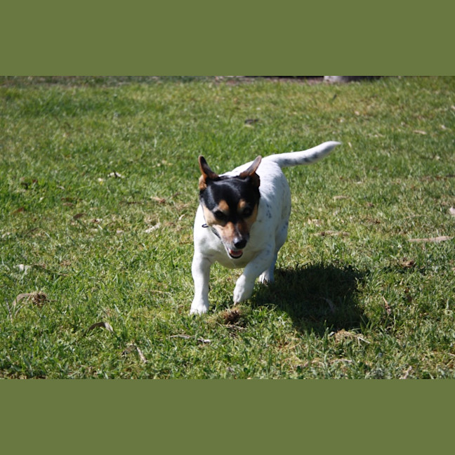 Photo of Ziggy And Zepha