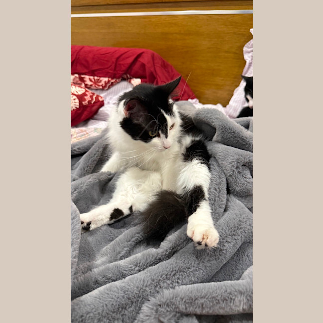 Photo of Gwynn