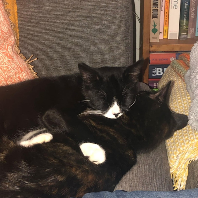 Photo of Stanley & Rosie