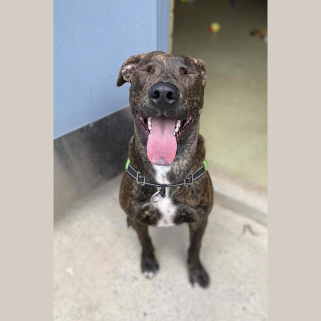 Photo of Starsky (Now Called Narloo)