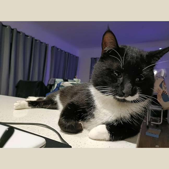 Photo of Mr Moustache