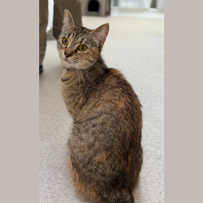 Photo of Sally Field (9004)