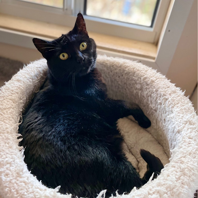 Photo of Claudia   Mowbray