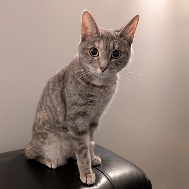 Photo of Luna