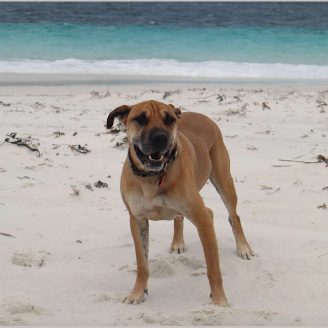 Photo of Mia