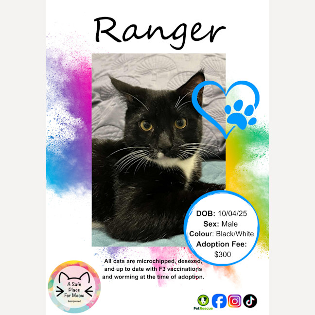 Photo of Ranger