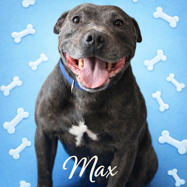 Photo of Max 