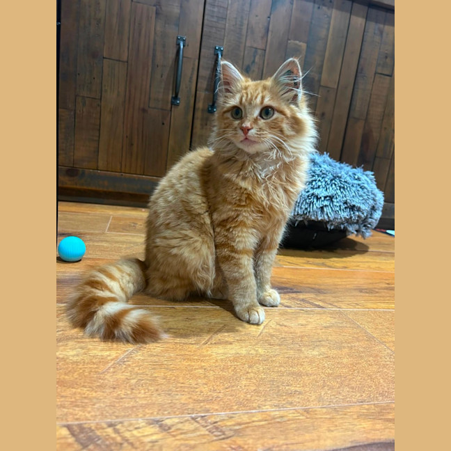 Photo of Binky