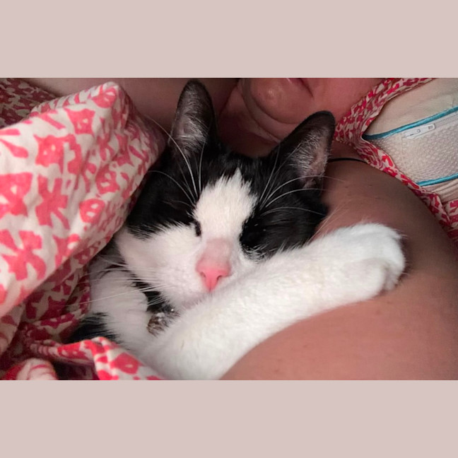 Photo of Flick 