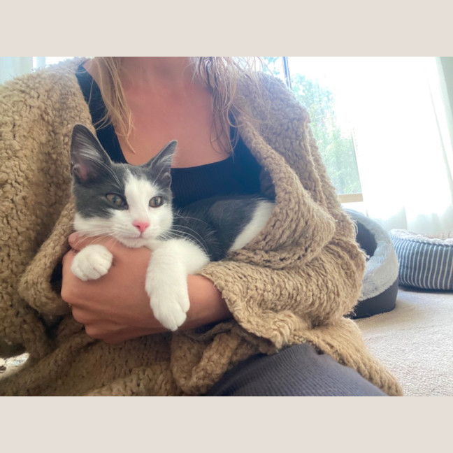 Photo of Alfred A.K.A Alfredino