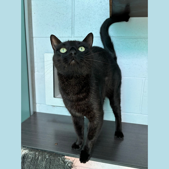 Photo of Hermes