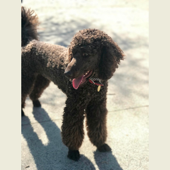 Photo of Xander