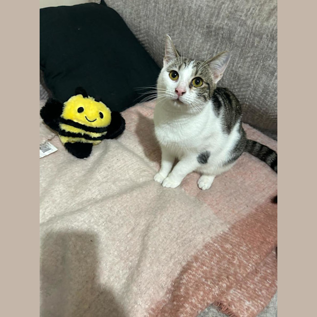 Photo of Miss Lou