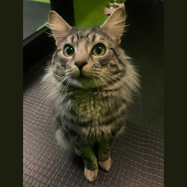 Photo of Gideon