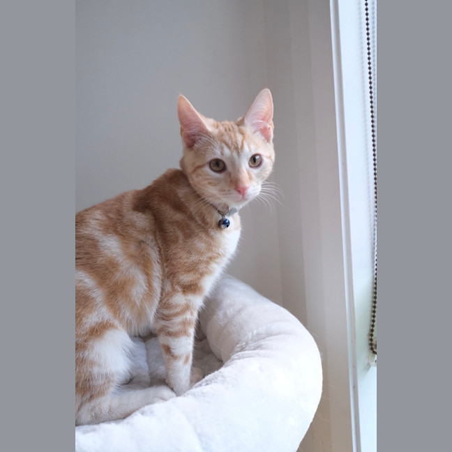 Photo of Winston
