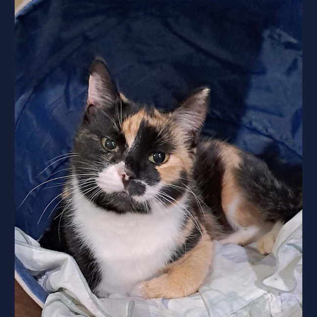Photo of Agnes
