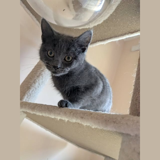 Photo of Greta