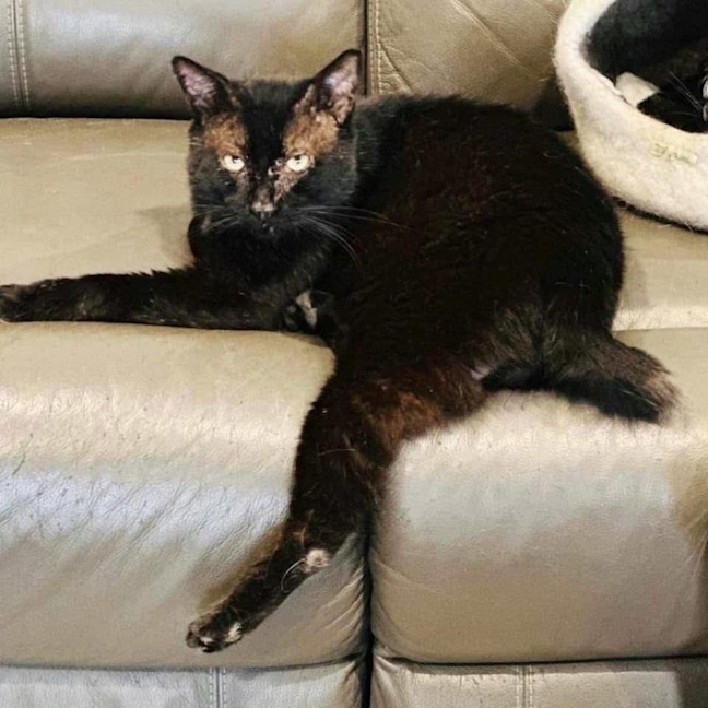 Photo of 11162   Bob