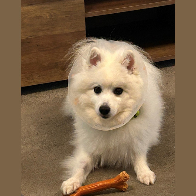 Photo of Yuki